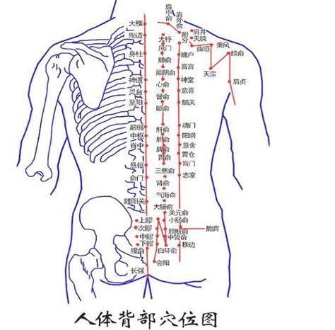 背有痣男|男人背部痣相图解算命 男人背部痣相图解大全